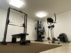 Palestra o centro fitness di Hotel Garni Toscanina - Adults Only