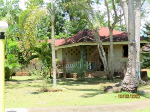 a house with palm trees in front of it at ALONALAND RESORT in Panglao