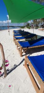 a row of beach chairs with a green umbrella on a beach at PWANI HOUSE cottage in Watamu