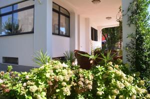 Zahrada ubytování Apartments Bertok