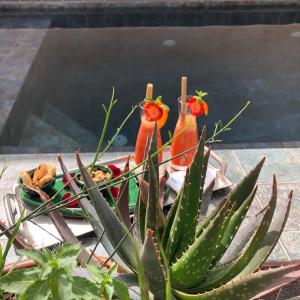 Fotografie z fotogalerie ubytování Riad Nouceiba Marrakech v Marrákéši