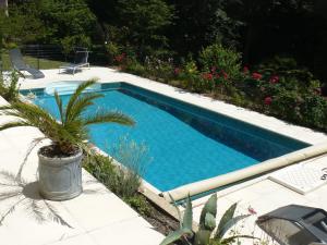 a swimming pool with a potted plant in a garden at Chambres d'Hôtes & Gites Pouget in Les Eyzies-de-Tayac