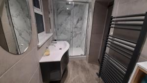 ein Bad mit einer Dusche, einem Waschbecken und einem Spiegel in der Unterkunft Lakeside Lodge in Bassenthwaite Lake