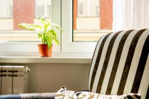 Χώρος καθιστικού στο Engadin Studio - Excellent Location