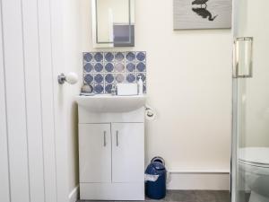 un bagno con lavandino e WC di Farriers Retreat a Budleigh Salterton Altre 21 foto