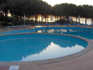 una piscina con acqua blu, sedie e alberi di RESIDENCE PORTO PICCOLO - appartamento D8 a Baja Sardinia