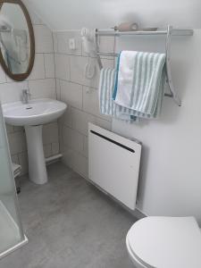 a bathroom with a sink and a toilet and a mirror at Cottage AU TERMINUS 3 climatisé in Hautvillers +11 photos