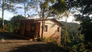 a small house in the middle of a forest at Las Bromelias Lodge in Paso Macho