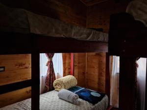 Paso Macho的住宿－Las Bromelias Lodge，小屋内一间卧室配有一张双层床