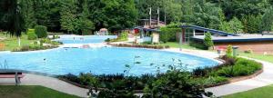 a large blue swimming pool in a park at Vakantie op de Veluwe in Lunteren