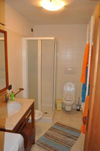 a bathroom with a shower and a sink and a toilet at La Casa di Nicky - San Vito di Cadore in San Vito di Cadore