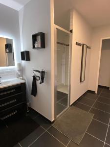 a bathroom with a shower and a sink at Domaine de Montcausson in Revel