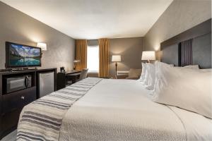 um quarto de hotel com uma cama grande e uma televisão em THE BRANSINN Entertainment District em Branson