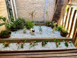 a garden with plants and potted plants on the ground at Pousada Nativa Jeri in Jericoacoara
