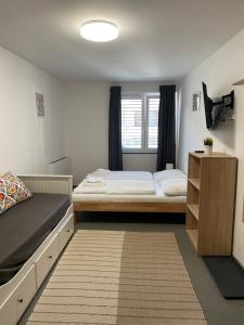 a bedroom with a bed and a television in it at Mikulov Inn - Apartments Slunce in Mikulov
