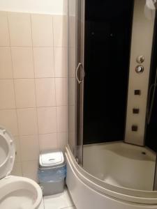 La salle de bains est pourvue d'une douche, de toilettes et d'un lavabo. dans l'établissement Freedom, à Oujhorod