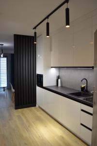 Kuchyňa alebo kuchynka v ubytovaní Apartamenty DK9 Promenada Gwiazd 14
