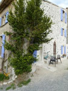 a tree in front of a building with a bench at chambre campagnarde in Bargème