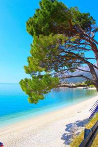 Φυσικό τοπίο κοντά σε αυτό το διαμέρισμα