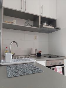 Kuchyň nebo kuchyňský kout v ubytování Apartmani NIKA