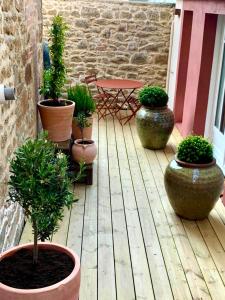 Ein Garten an der Unterkunft Villa Louisa