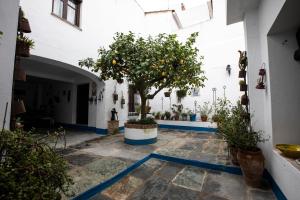 Zdjęcie z galerii obiektu LA CASONA OLIVENTINA w mieście Olivenza