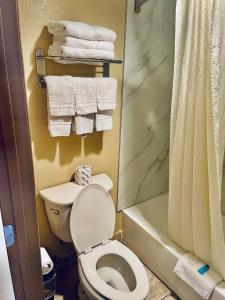 a bathroom with a toilet and a shower and towels at Conner Hill Motor Lodge in Pigeon Forge