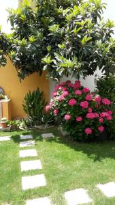 ogród z różowymi kwiatami na trawie w obiekcie Appartamenti San Vito w mieście San Vito