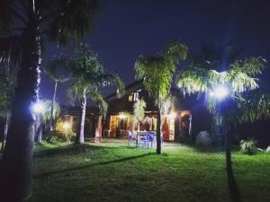 una casa de noche con palmeras y luces en B&B Villa Molinari en Campagna