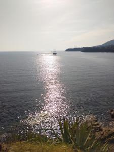 a boat on a large body of water at la stanza di Robi in Rio Marina