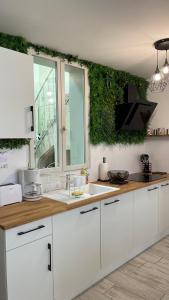 a kitchen with white cabinets and a green wall at Tous'o'Zoo, au cœur du centre-ville in Saint-Aignan