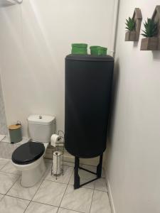 a bathroom with a toilet and a black tank at Appartement complet hyper centre in Auxerre