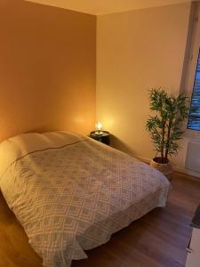 Un dormitorio con una cama y una planta en maceta. en Appartement complet hyper centre, en Auxerre