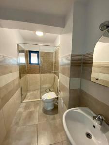 La salle de bains est pourvue d'une douche, de toilettes et d'un lavabo. dans l'établissement Pensiunea Pelicanul, à Dunavăţu de Jos