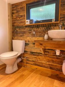 a bathroom with a toilet and a sink at Modern cabin with stunning views & private hot tub in Breakish