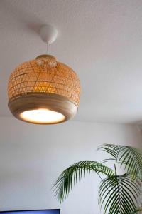 a light hanging from a ceiling with a plant at Modernes 2-Zimmer-Apartment mit Balkon und Netflix in Jena
