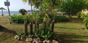 Landskap semula jadi dekat dengan resort