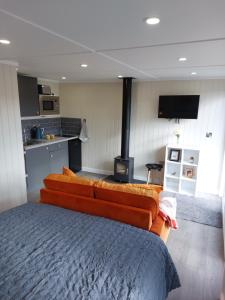TV a/nebo společenská místnost v ubytování The Den - Modern cabin with wood burning stove