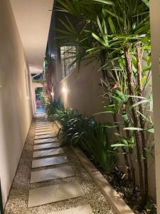 a hallway with plants on the side of a building at AP frente à praça bem localizado in São José