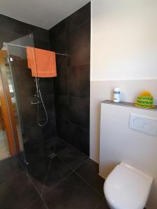 a bathroom with a shower stall and a toilet at Rainer´s Rheinblick in Oberdiebach