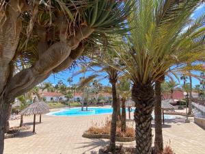 Bazén v ubytovaní Bungalow Parque Golf by SunHousesCanarias alebo v jeho blízkosti