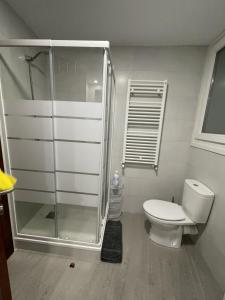 a bathroom with a toilet and a glass shower at Plaza Centro Mercado in Logroño +21 photos