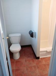 a small bathroom with a toilet and a shower at Chalet Inn Motel in Dryden