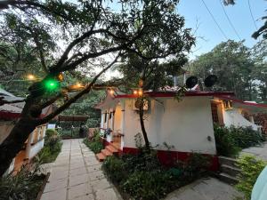 a house with christmas lights on the branches of a tree at Mitra Hostel Vagator in Vagator