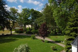 un parque con un árbol en el césped en Landgasthof "Am Park", en Crottendorf