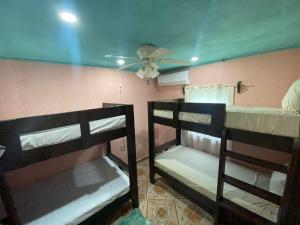 two bunk beds in a room with a ceiling fan at Forest View Apartment in Six Huts
