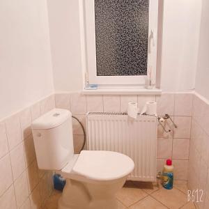 a bathroom with a white toilet and a window at Potůčky 67 in Potŭčky