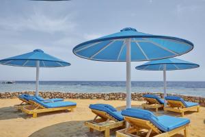 Pickalbatros Royal Grand Sharm - Adults Friendly 16 Years Plus في شرم الشيخ: مجموعة من الكراسي والمظلات على الشاطئ