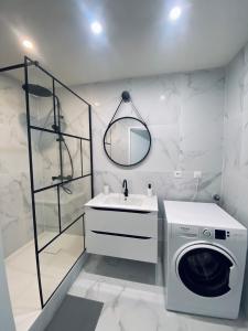 ein weißes Badezimmer mit einer Waschmaschine und einem Waschbecken in der Unterkunft La ROSERAIE in Mont-de-Marsan