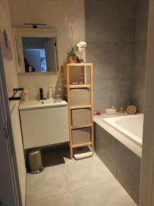 a bathroom with a sink and a shelf next to a tub at VERADEMING in Bilzen